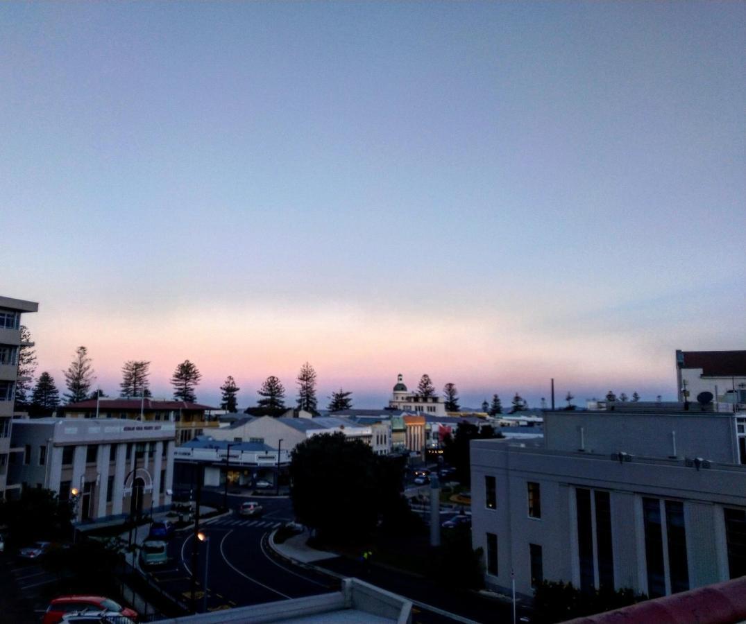 Crashpalace Backpackers Napier Exteriér fotografie