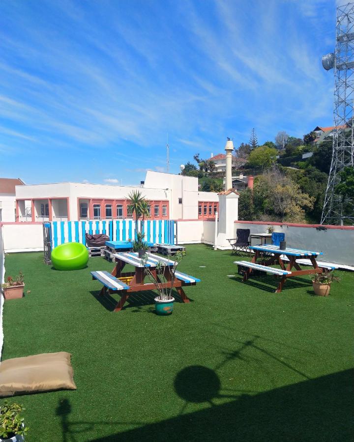 Crashpalace Backpackers Napier Exteriér fotografie